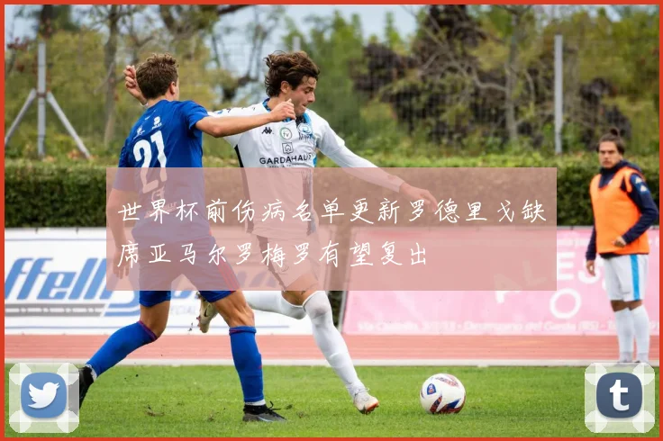 世界杯前伤病名单更新罗德里戈缺席亚马尔罗梅罗有望复出